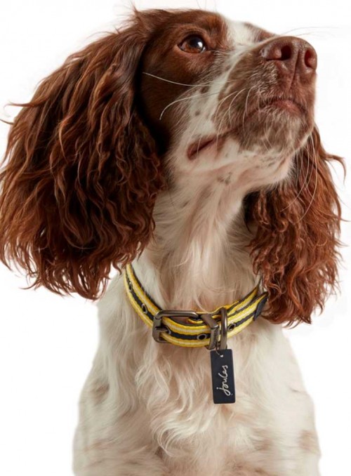 Dog Collar leather nylon Yellow Striped from Joules